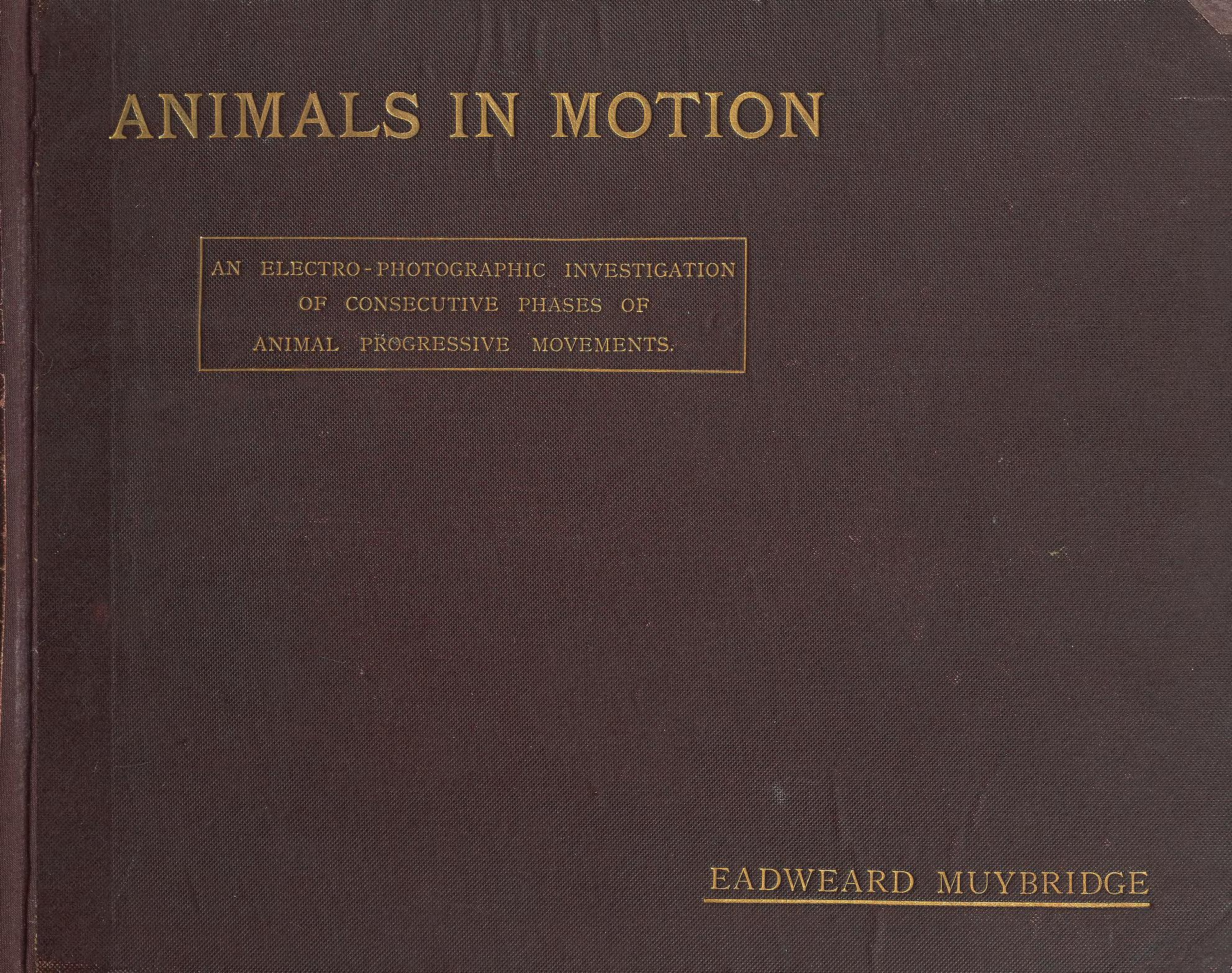 Animals in motion
